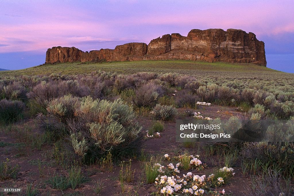 Fort Rock Ranch Fort Rock Fort Rock State Park High-Res Stock Photo - Getty Images