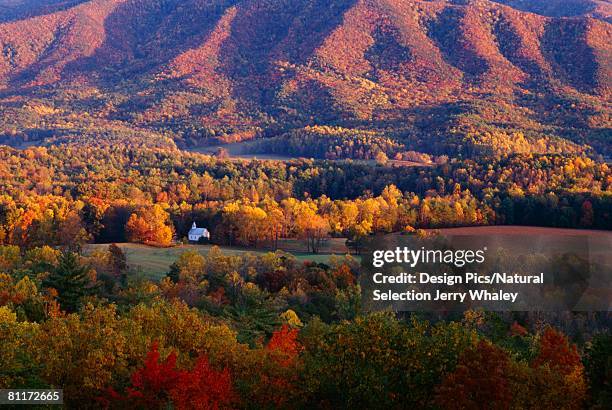 forest in autumn color with distant church. - jerry whaley stock pictures, royalty-free photos & images