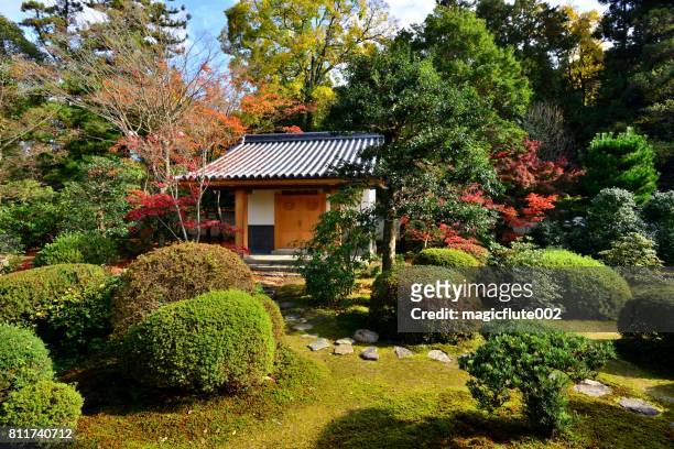 herbstlaub am zuishin-in tempel, kyoto - paravant stock-fotos und bilder