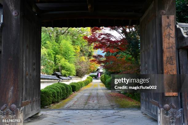 follaje de otoño en zuishin en el templo, kyoto - shoji fotografías e imágenes de stock