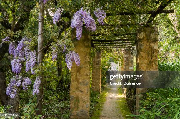 serre de la madone - french garden stock-fotos und bilder