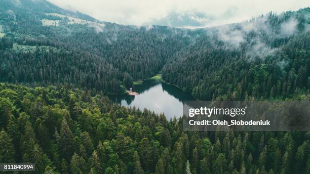 aerial view of synevir lake in the  carpathian mountains in ukraine - lush stock pictures, royalty-free photos & images