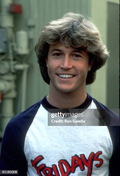 Andy Gibb