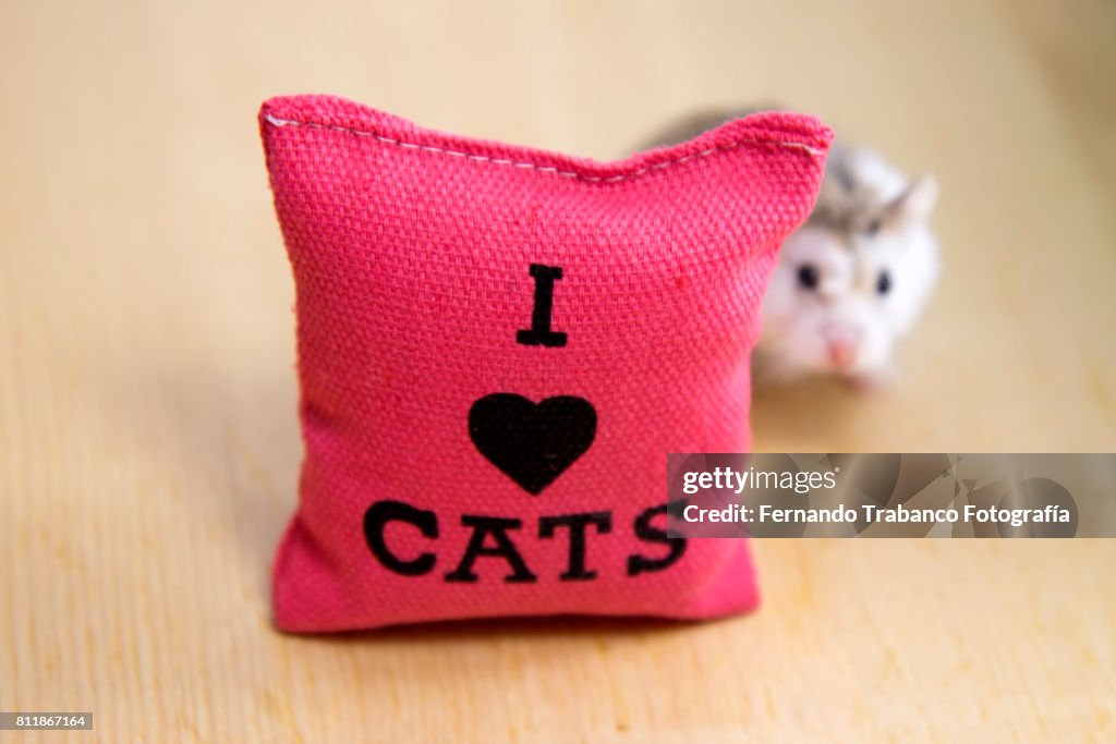 Mouse with cushion I love cats