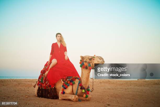 relaxing on camel ride - hot arabian women stock pictures, royalty-free photos & images