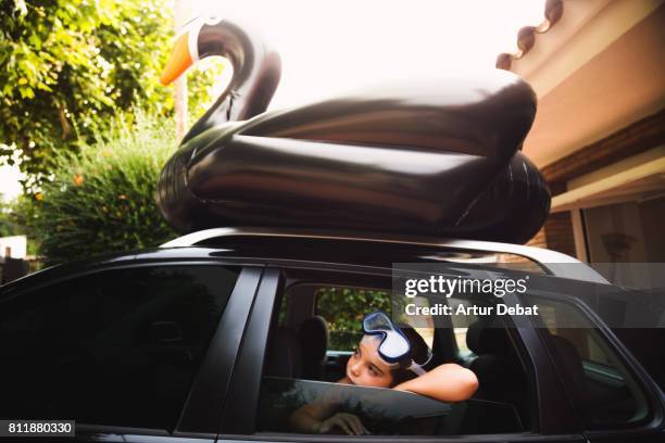 happy family going to the beach with huge black swan on the top of the car during travel vacations in the mediterranean sea. - black swans stock pictures, royalty-free photos & images