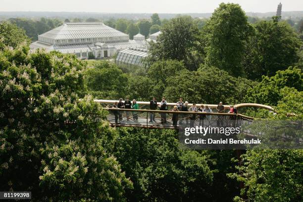 People walk along the Xstrata Treetop Walkway at Kew Gardens on May 22, 2008 in London, England. The 18m high Xstrata Treetop Walkway and the...