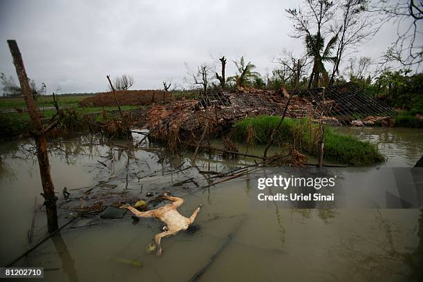 Dead body floats in the river May 20 at the isolated village of Myasein Kan in the Ayeyarwaddy delta, Myanmar. It has been estimated that more than...