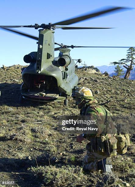 Chinook from 27 Squadron RAF lands on top of a mountain in Afghanistan to drop off supplies and collect passengers for moving to another area April...