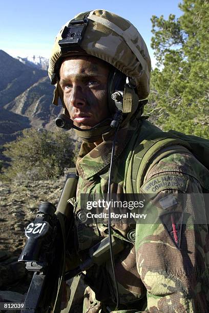 45 Commando Unit Photos and Premium High Res Pictures - Getty Images