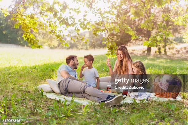 healthy family enjoying summer picnic in the nature - happy family grass stock pictures, royalty-free photos & images