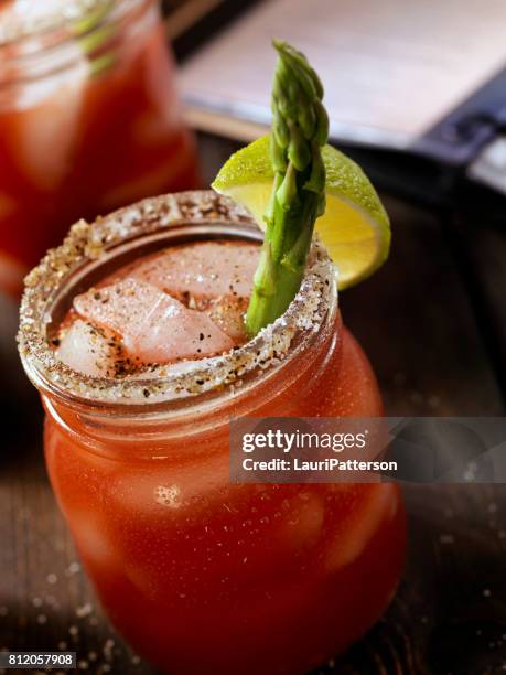 bloody mary - mary patterson stock pictures, royalty-free photos & images