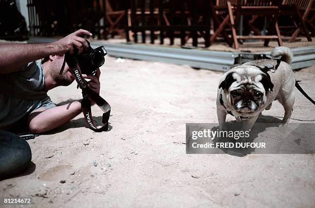 Lucy the thespian pooch, a cross between a hunting dog and a retriever poses after being awarded with the Palm Dog, the Cannes's unofficial canine...