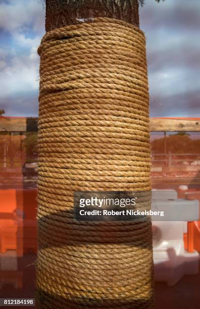 An oak tree is protected around its trunk by rope a building site where apartments are under construction July 4, 2017 in Brooklyn, New York. The...