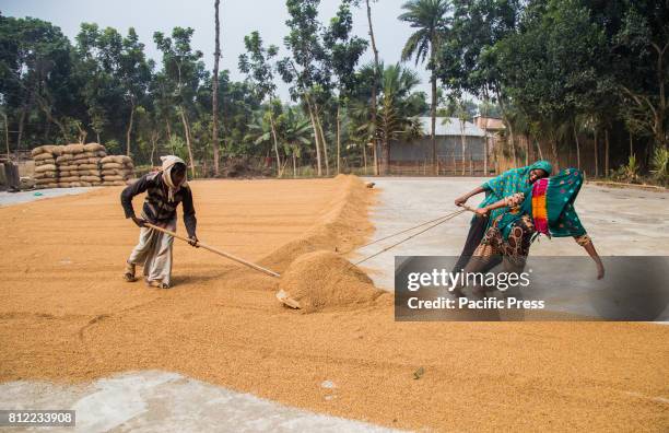 Laboriuso Husked Rice Photos and Premium High Res Pictures - Getty Images