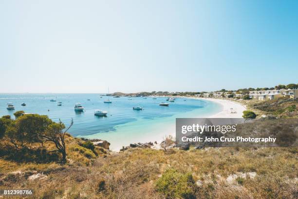 rottnest coast - rottnest island stock pictures, royalty-free photos & images