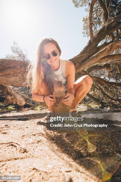 girl and quokka - rottnest island stock pictures, royalty-free photos & images