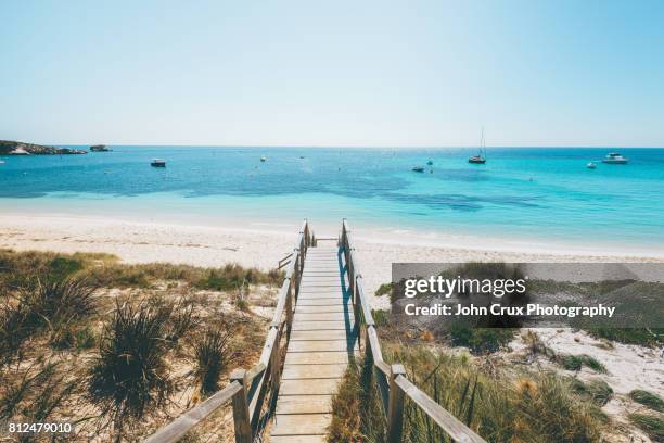 rottnest beach - perth stock-fotos und bilder