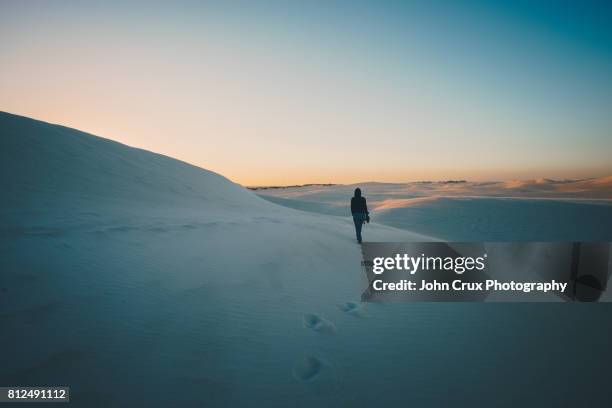 sand dune hiker - lancelin stock pictures, royalty-free photos & images