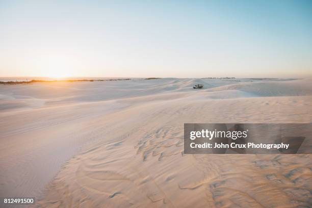 sand dune driving - bush stockfoto's en -beelden