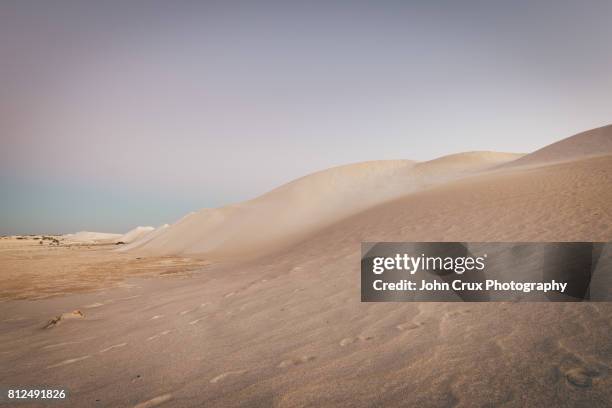 perth desert dunes - lancelin stock pictures, royalty-free photos & images