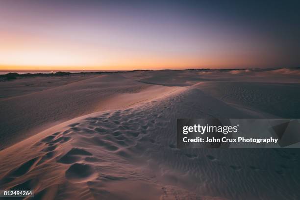 sand dune sunset - lancelin stock pictures, royalty-free photos & images