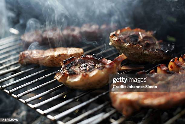 Grilled meat is seen during a vespertine barbecue party during a warm summer evening on May 27, 2008 in Munich, Germany. Barbecue parties are one of...