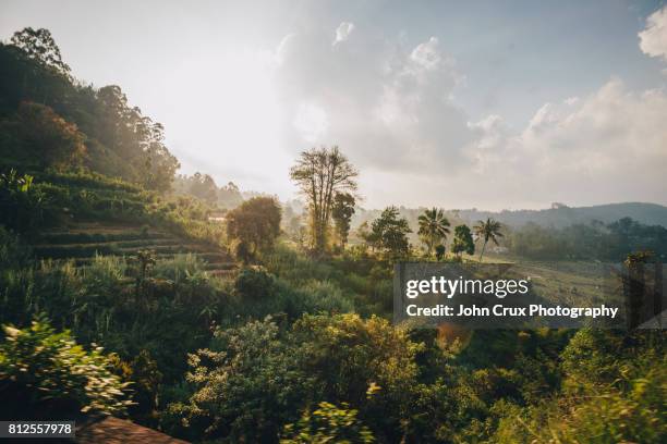 sri lanka hill country - kandy kandy district sri lanka stock pictures, royalty-free photos & images