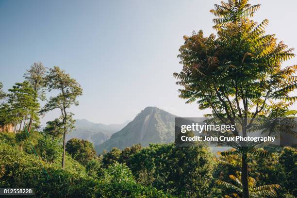 ella hills - ella sri lanka stockfoto's en -beelden