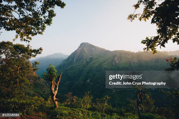 ella hillside - sri lanka little mountain fotografías e imágenes de stock