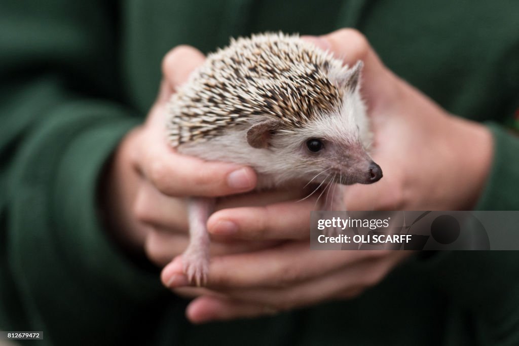 BRITAIN-AGRICULTURE-SHOW