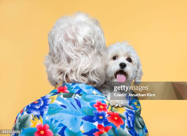 senior man with look alike dog. - white hair stock-fotos und bilder