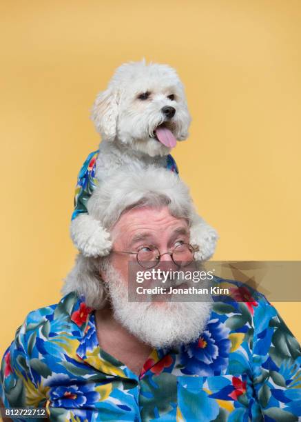 senior man with look alike dog. - representar fotografías e imágenes de stock