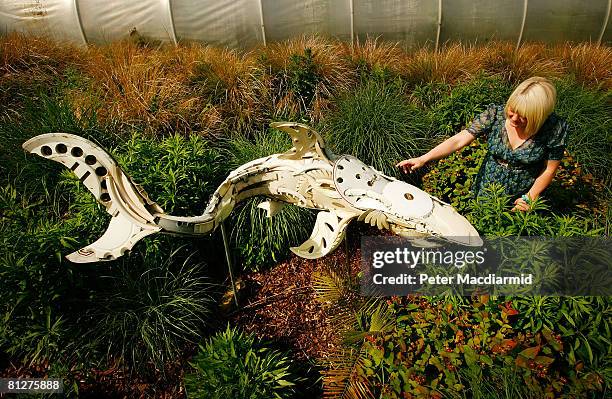 Member of staff looks at a sculpture made from hub caps entitled 'Great White' by artists Ptolemy, at the Recycled Sculpture Show at London Zoo on...