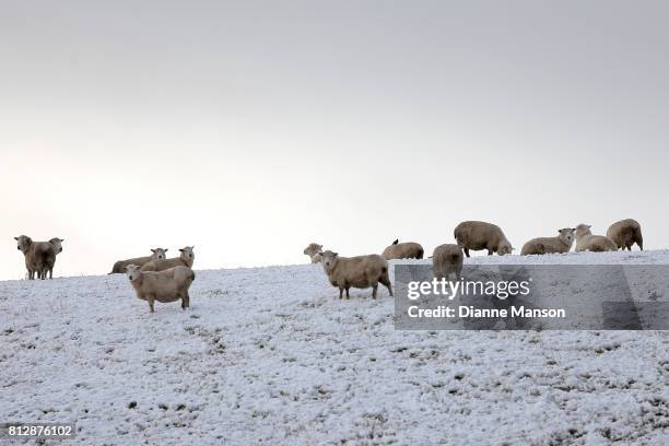 Farmland is covered in snow near Lumsden on July 12, 2017 in Invercargill, New Zealand. Snow is falling across the South Island of New Zealand as a...