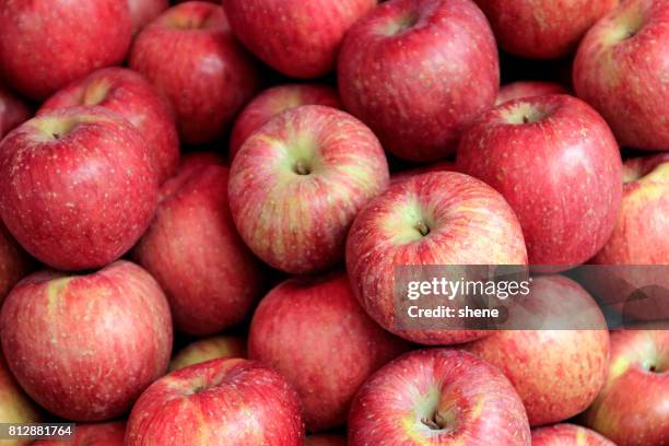 apples - red apples stock pictures, royalty-free photos & images