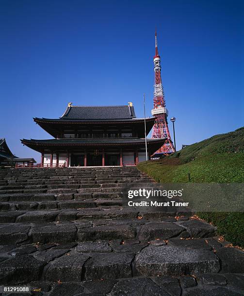 zojoji temple and tokyo tower - barrio de minato fotografías e imágenes de stock