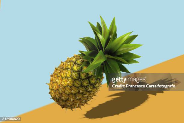 pineapple - abacaxi - fotografias e filmes do acervo