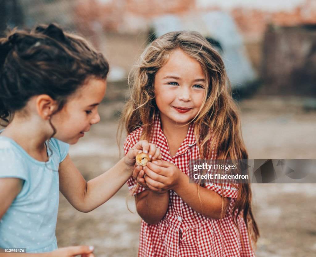 Two girls petting a little chicken