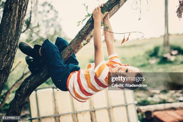 little boy hanging from a tree - kids climbing stock pictures, royalty-free photos & images