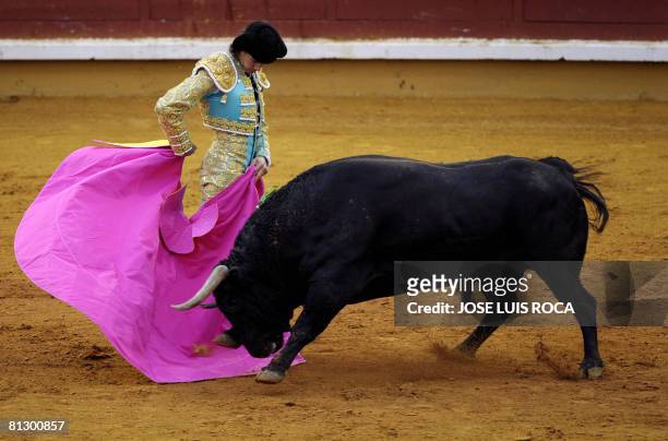 French matador Sebastian Castella performs a pass during a bullfight in Cordoba, southern Spain, on May 30, 2008. AFP PHOTO/ JOSE LUIS ROCA