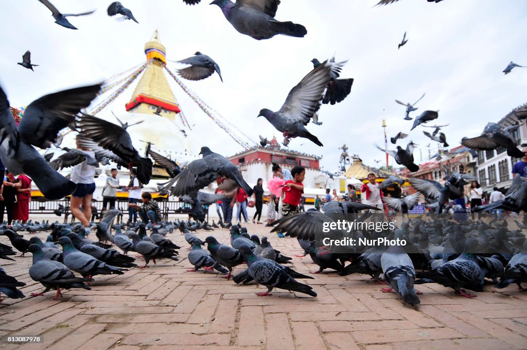 Daily Life around Boudhanath Stupa at Kathmandu, Nepal