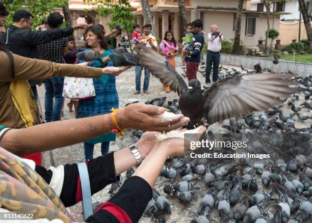 Dharmanath Photos and Premium High Res Pictures - Getty Images