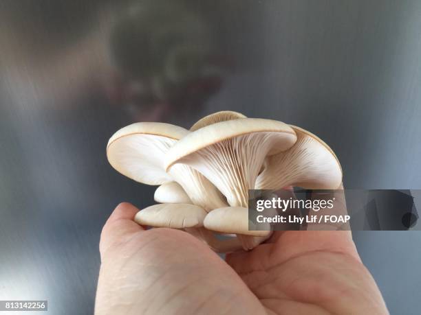Closeup Of Shimeji Mashroom High-Res Stock Photo