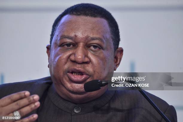 Secretary General Mohammad Barkindo speaks on July 12, 2017 at the IEA- OPEC dialogue session during the 22nd World Petroleum Congress in Istanbul.