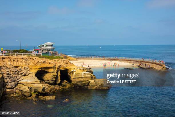 la jolla cove, san diego - california - la jolla marine reserve stock pictures, royalty-free photos & images