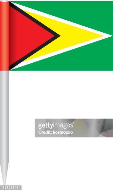 flag guyana - guyana flag stock illustrations