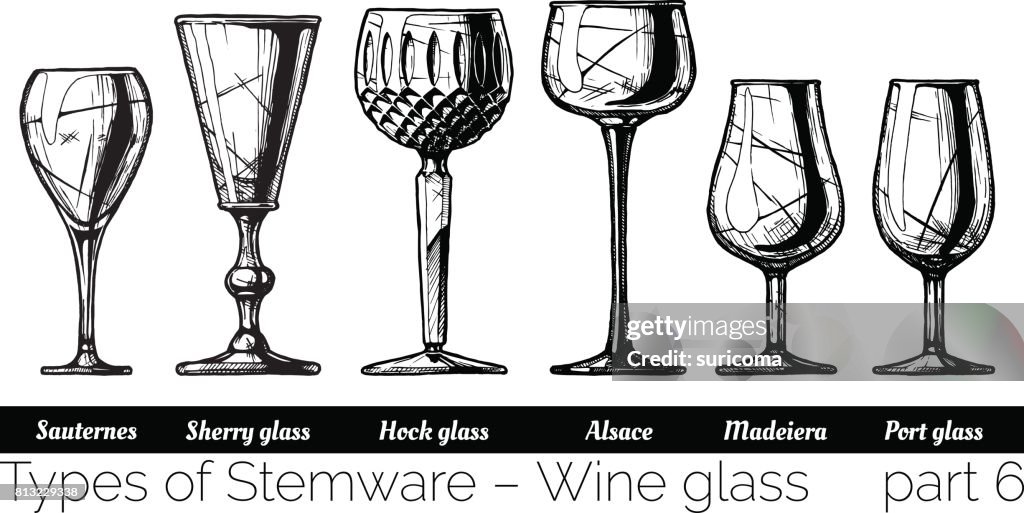 Stemware Examples Illustration Of Stemware Types High-Res Vector Graphic - Getty Images