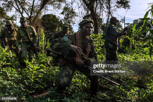 Conservation rangers and FARDC Congolese Army soldiers on long range patrol to locate and destroy FDLR, a Hutu led militia movement who fled into the...