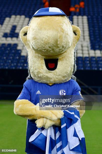 Mascot Erwin of FC Schalke 04 poses during the team presentation at Veltins Arena on July 12, 2017 in Gelsenkirchen, Germany.